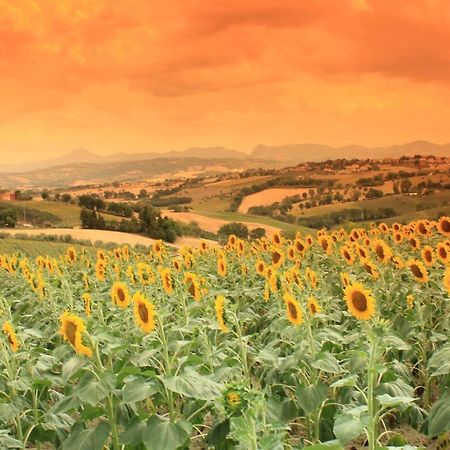 Casa Vacanze Angelica Ostra Vetere Exteriér fotografie
