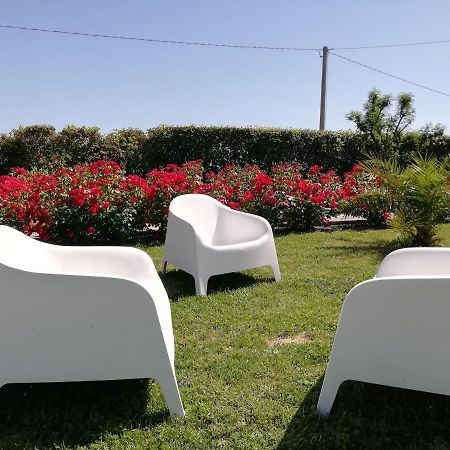 Casa Vacanze Angelica Ostra Vetere Exteriér fotografie