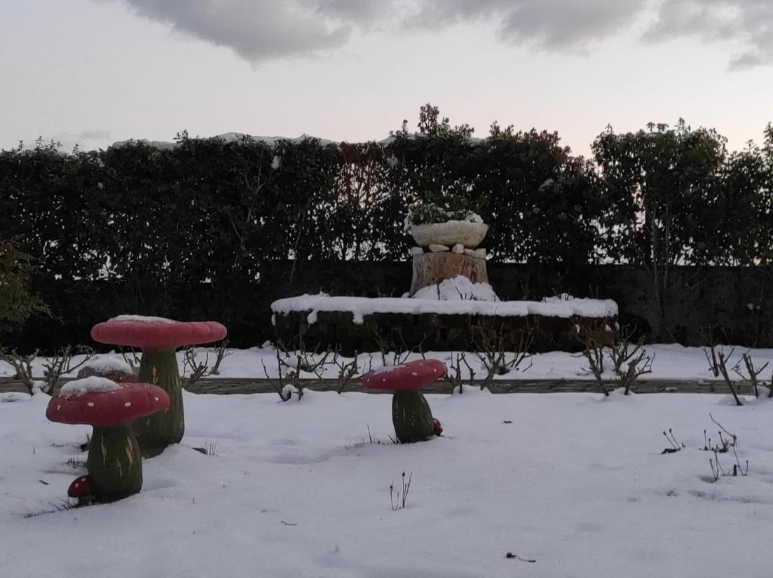 Casa Vacanze Angelica Ostra Vetere Exteriér fotografie