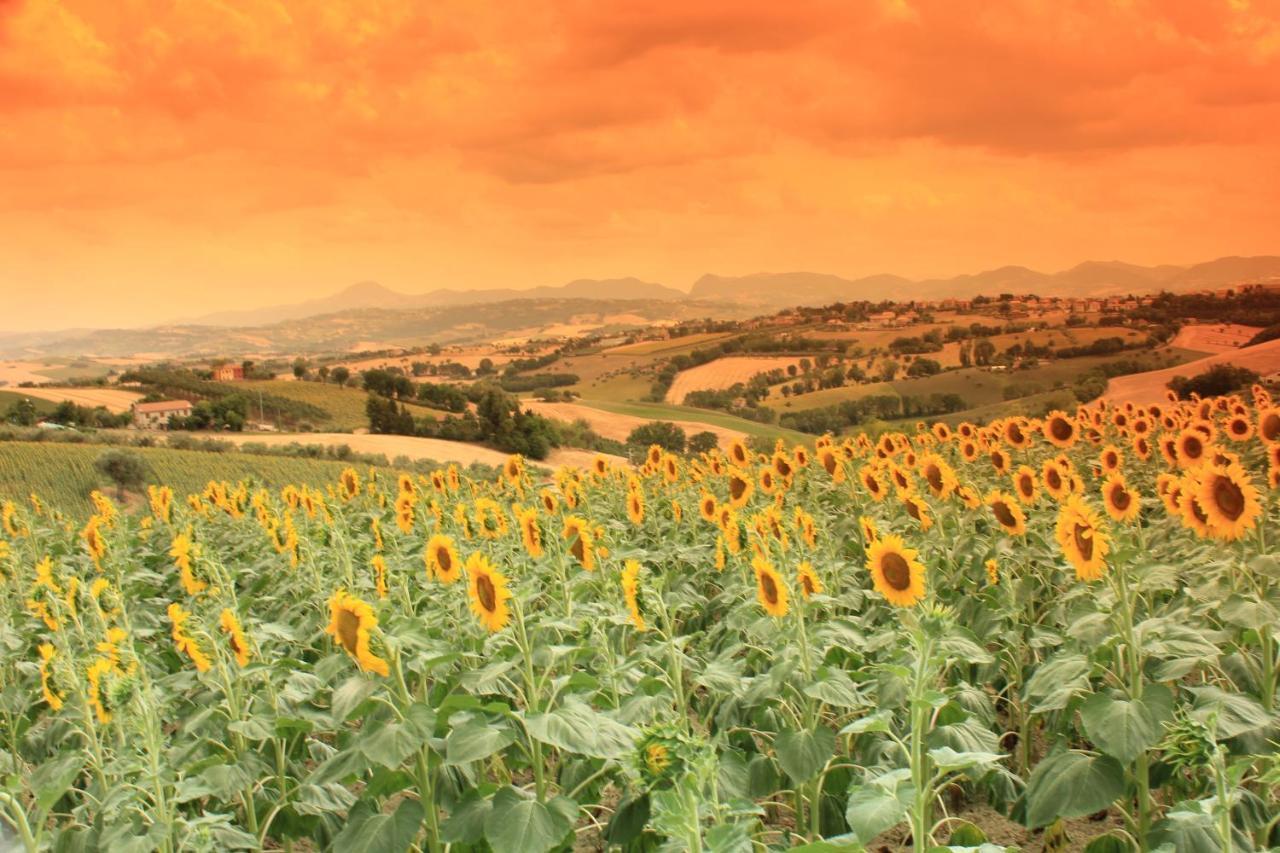Casa Vacanze Angelica Ostra Vetere Exteriér fotografie