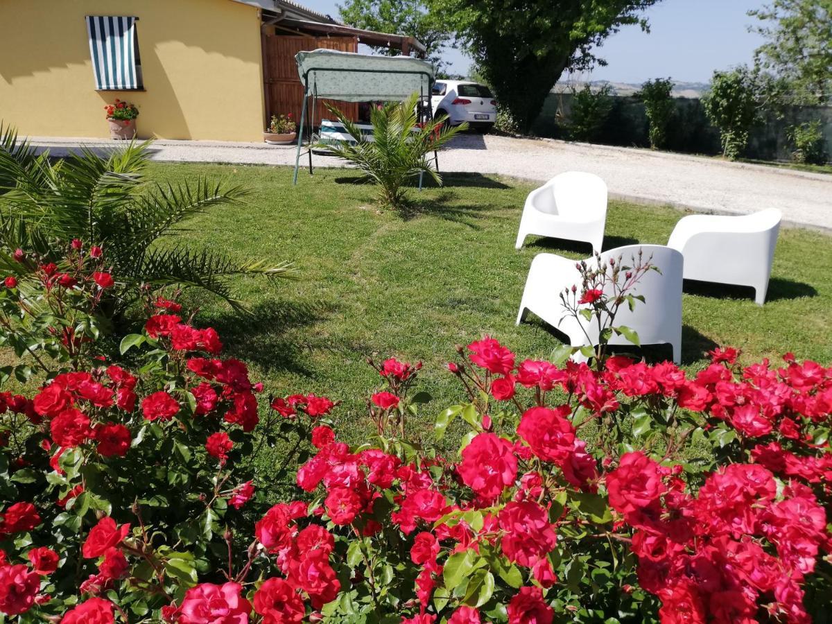 Casa Vacanze Angelica Ostra Vetere Exteriér fotografie