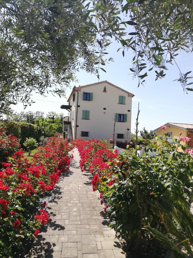 Casa Vacanze Angelica Ostra Vetere Exteriér fotografie