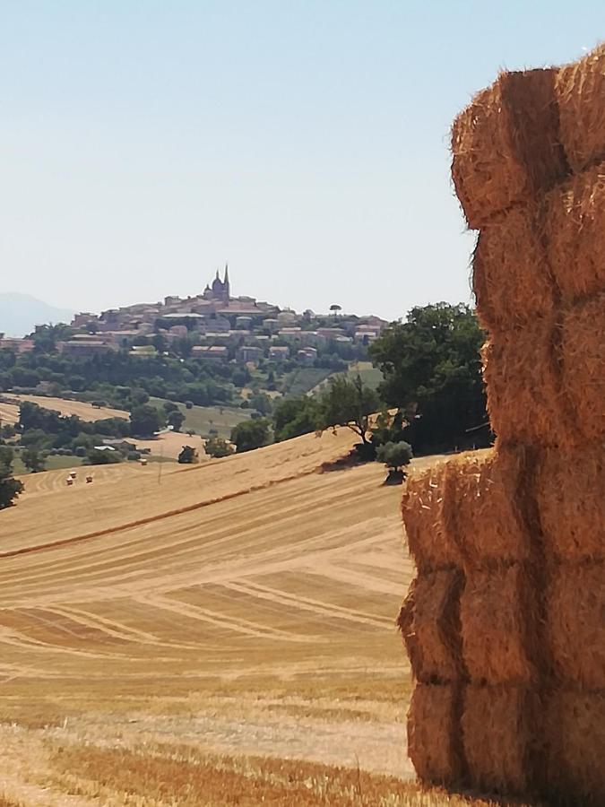 Casa Vacanze Angelica Ostra Vetere Exteriér fotografie