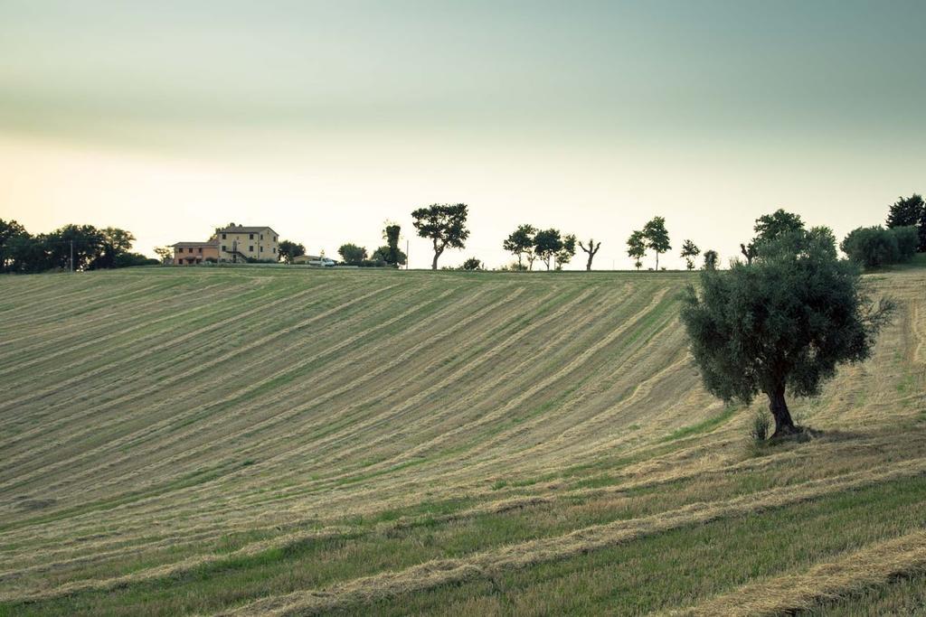 Casa Vacanze Angelica Ostra Vetere Exteriér fotografie